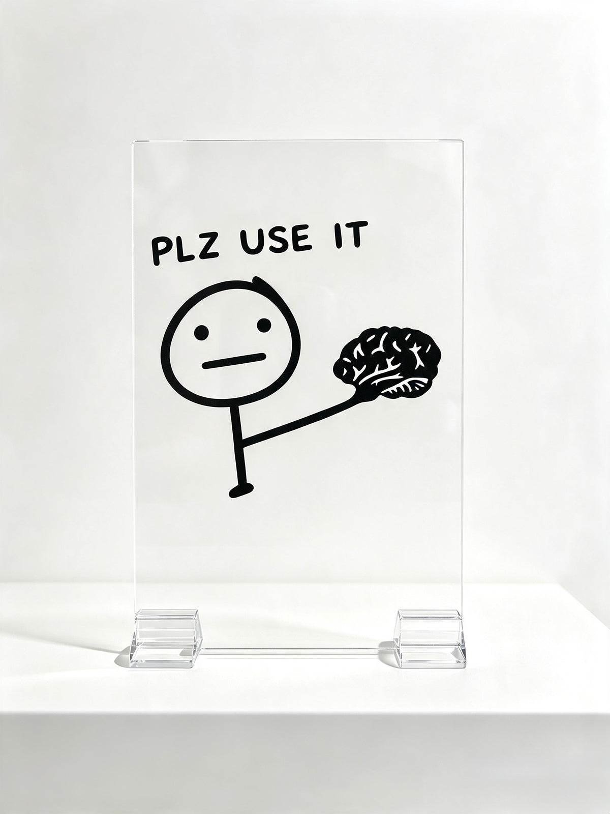 “Plz Use It” Funny Brain Acrylic Sign |4x6in Motivation Desk Decor
