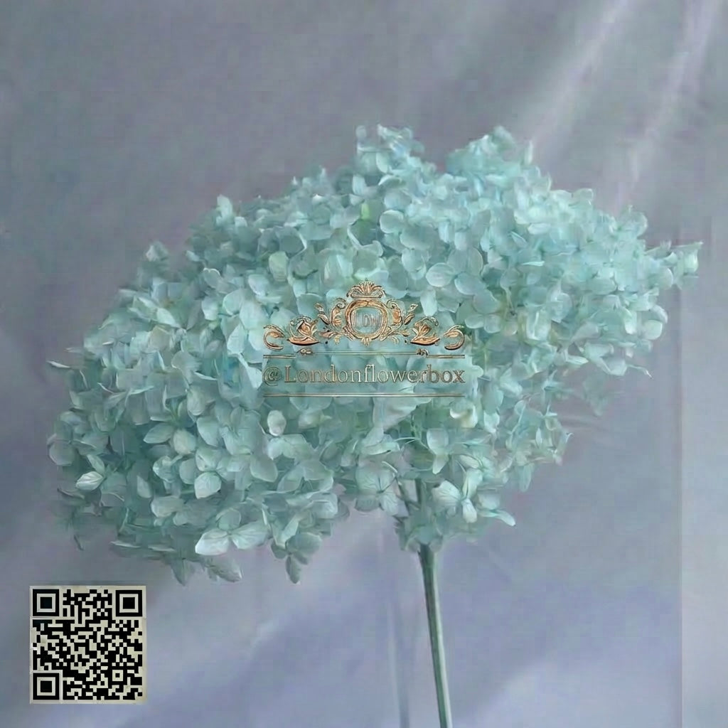 Preserved hydrangea - Turquoise