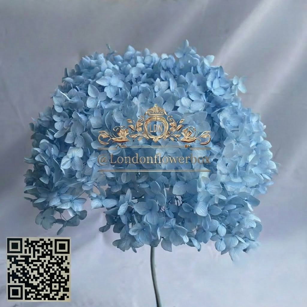 Preserved hydrangea - sky blue