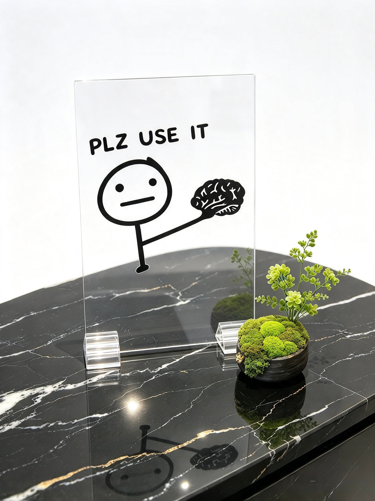 “Plz Use It” Funny Brain Acrylic Sign |4x6in Motivation Desk Decor