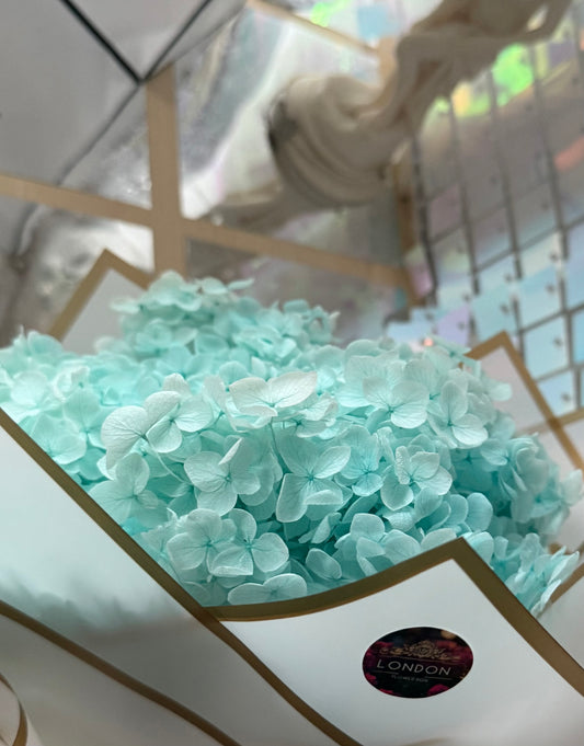 Preserved hydrangea - Turquoise