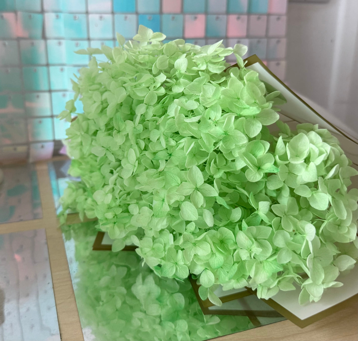 Preserved hydrangea - light green