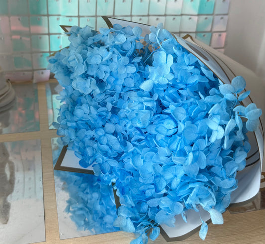 Preserved hydrangea - sky blue