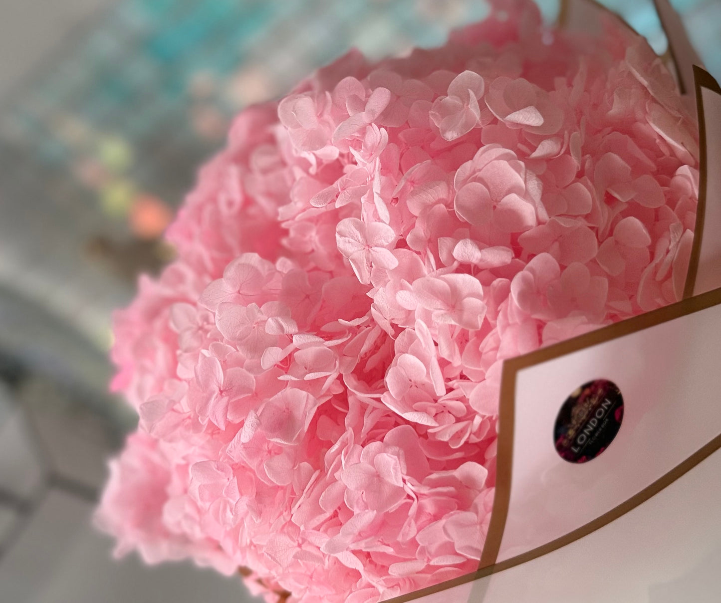Preserved hydrangea - pink