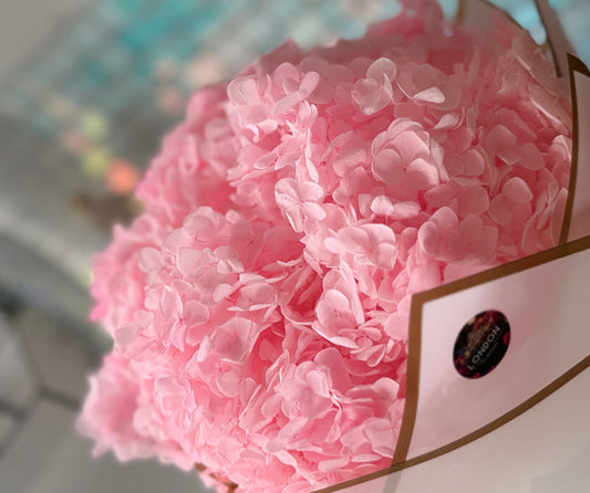 Preserved hydrangea - pink