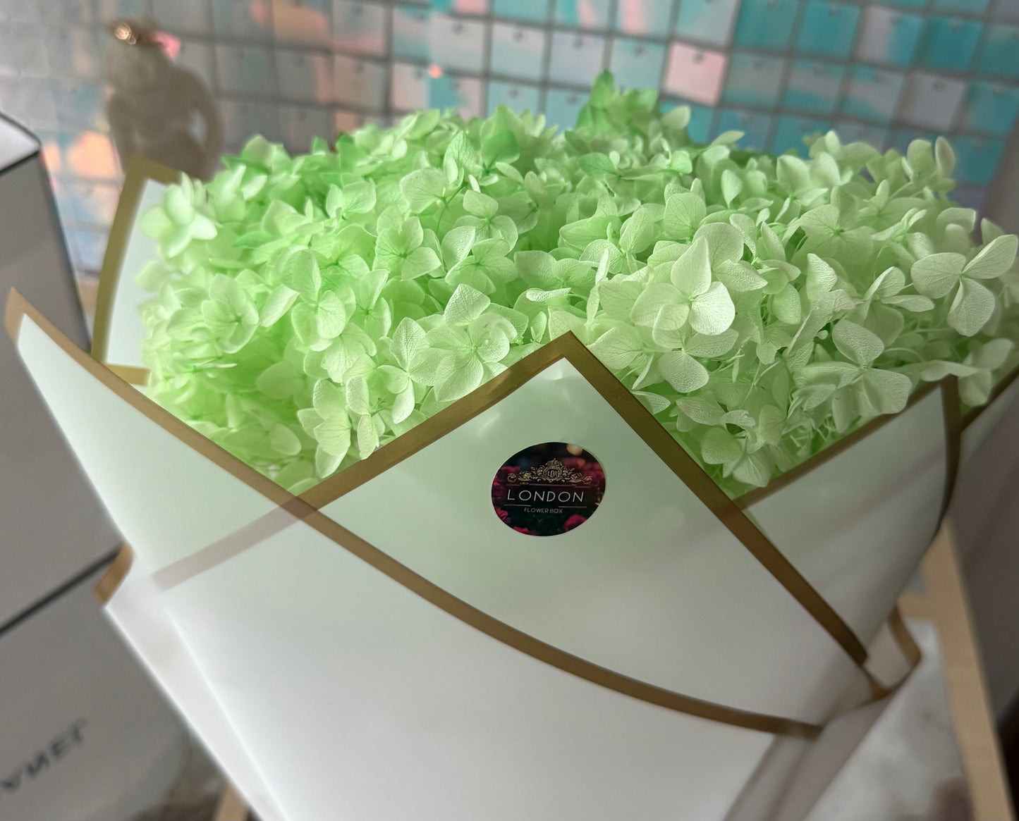 Preserved hydrangea - light green
