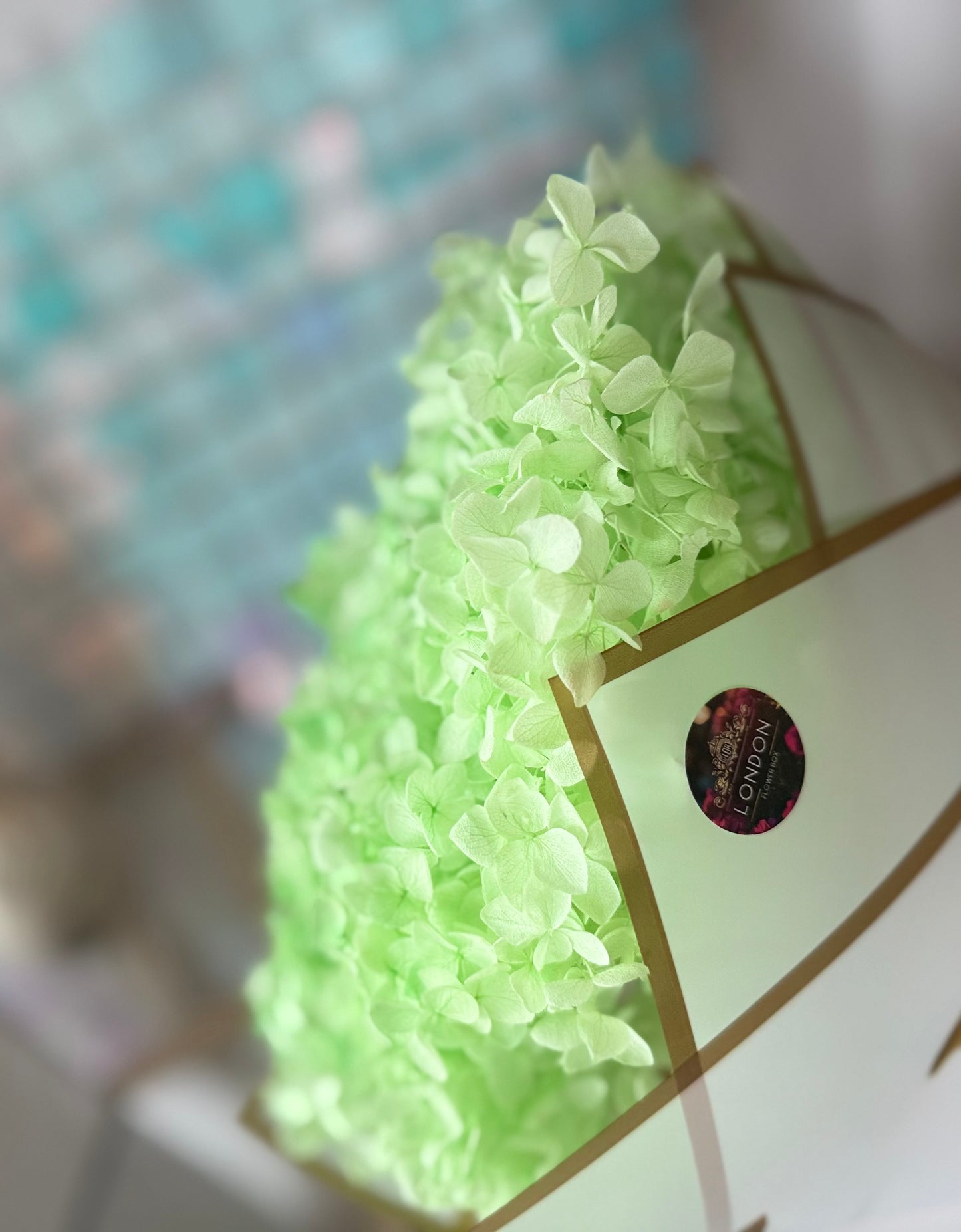 Preserved hydrangea - light green