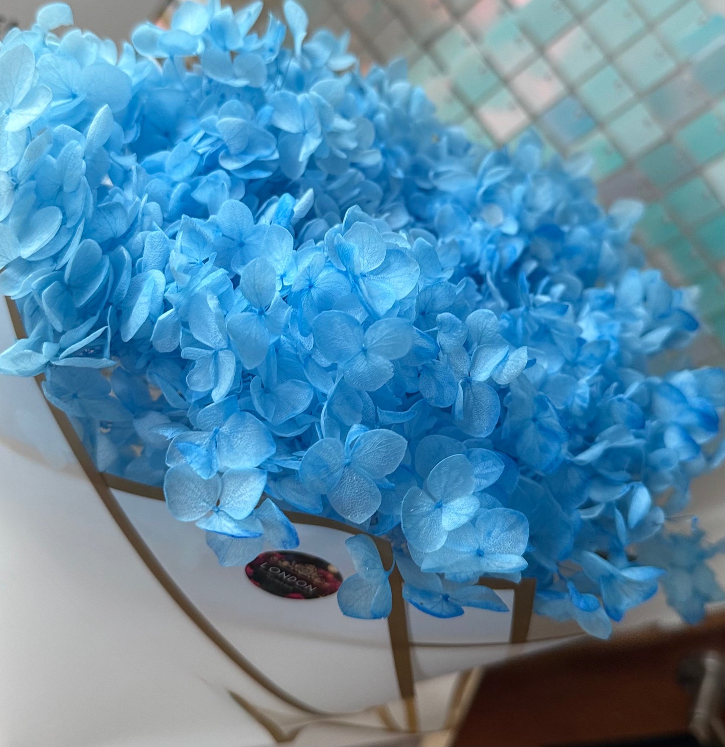 Preserved hydrangea - sky blue