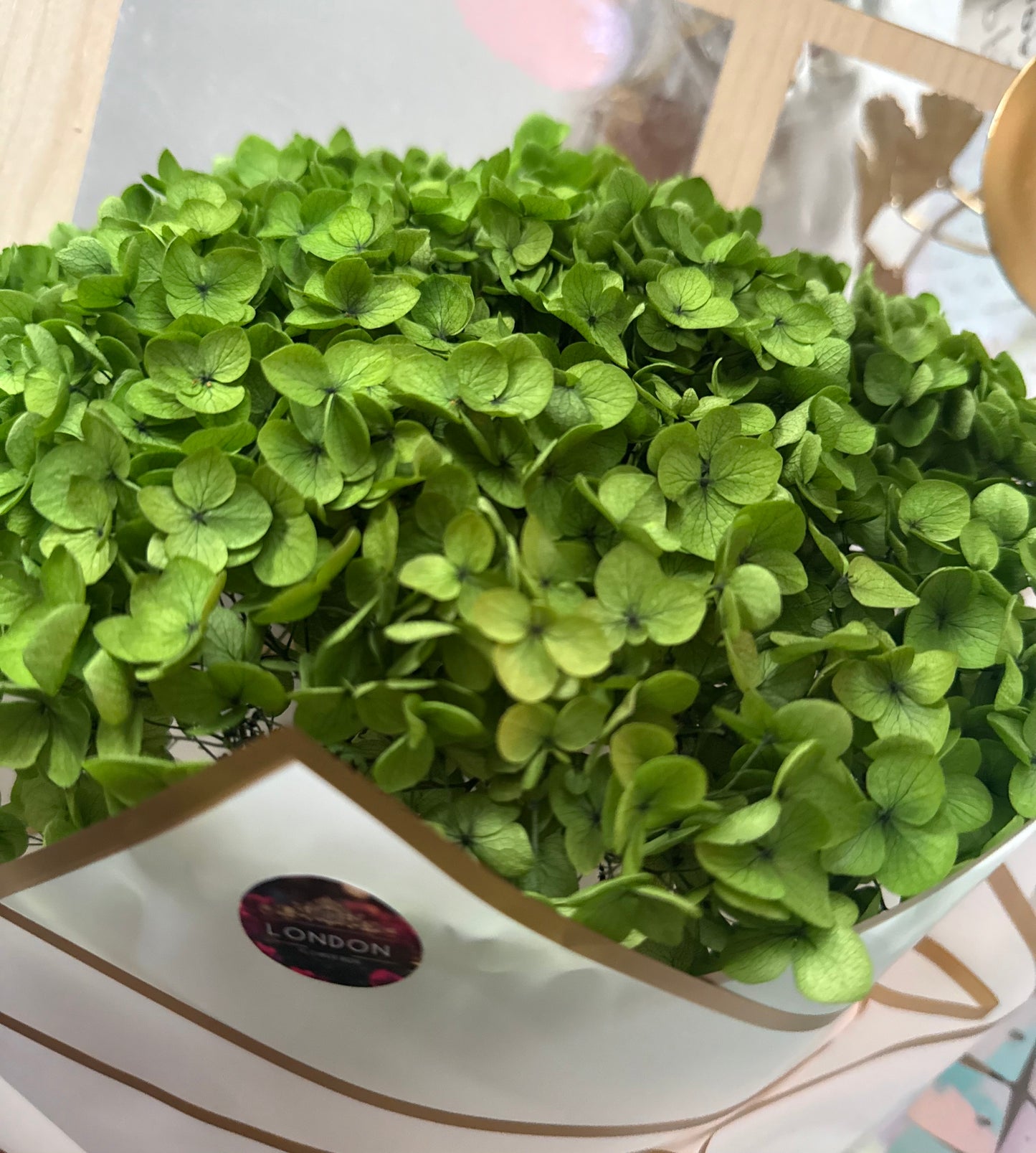 Preserved hydrangea - dark green