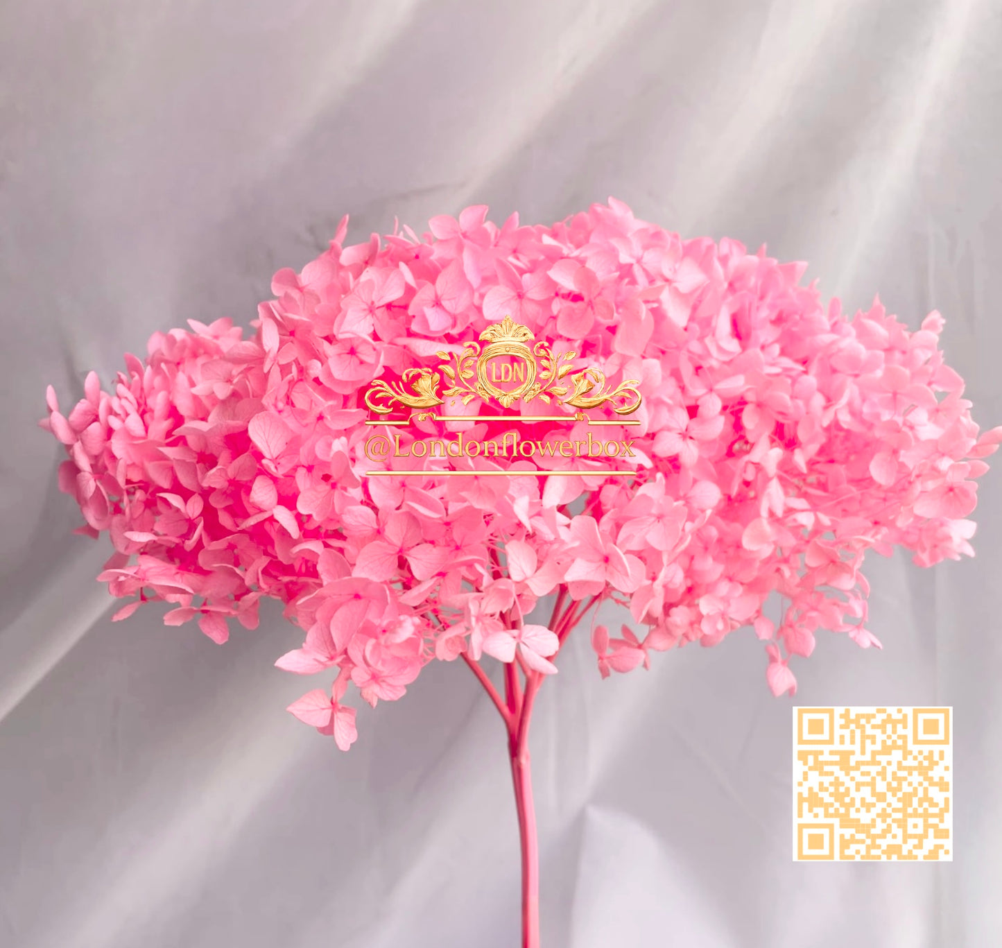 Preserved hydrangea - pink